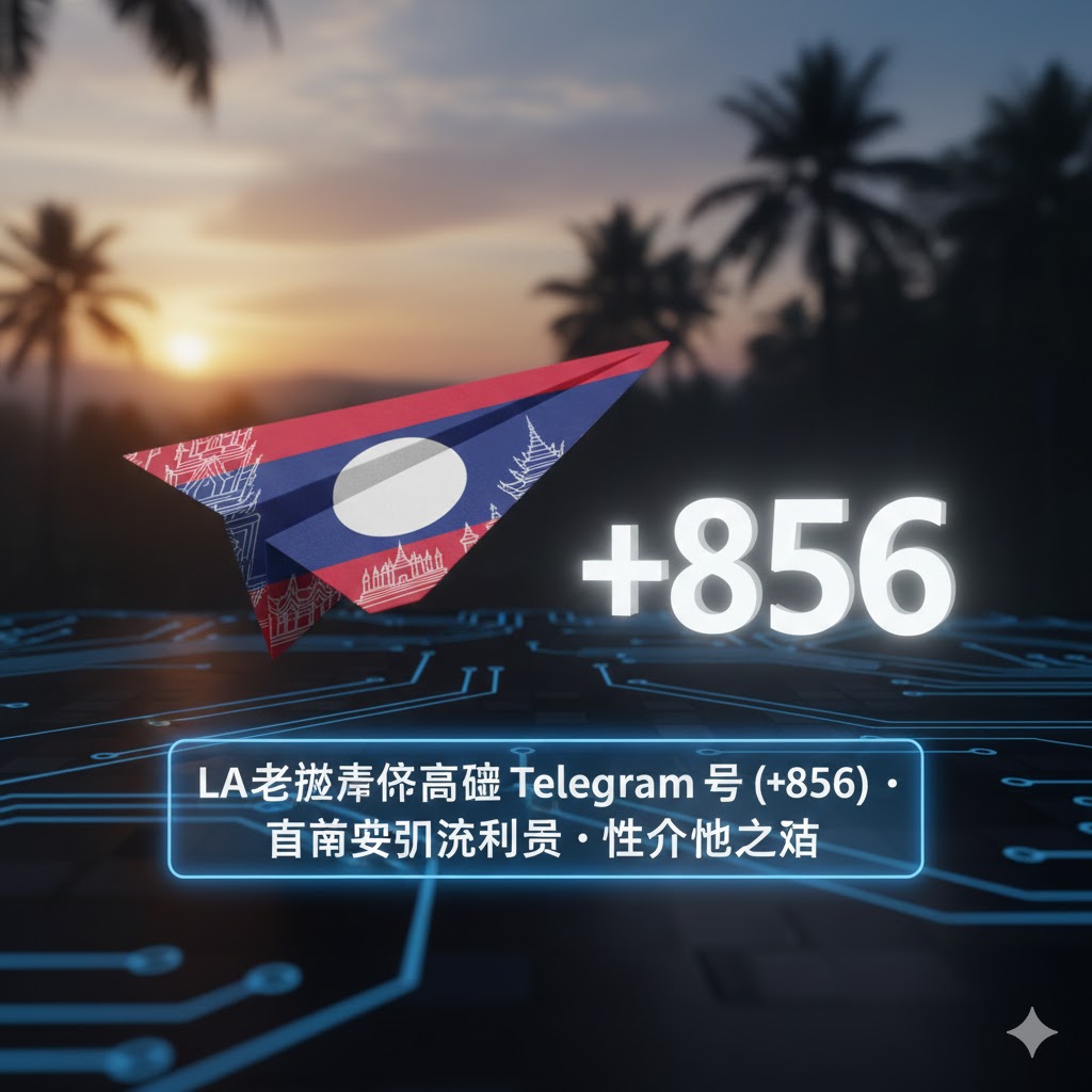 老挝精品养飞机号