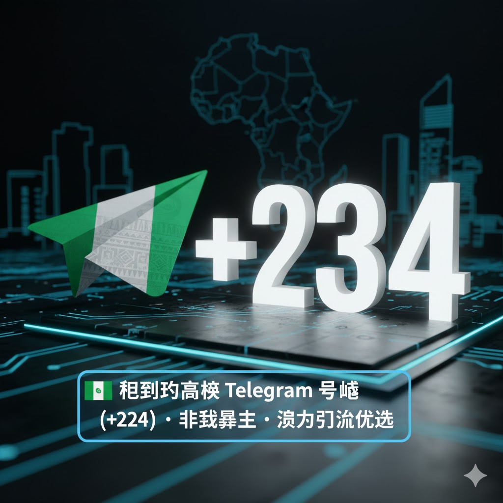 尼日利亚精养飞机号