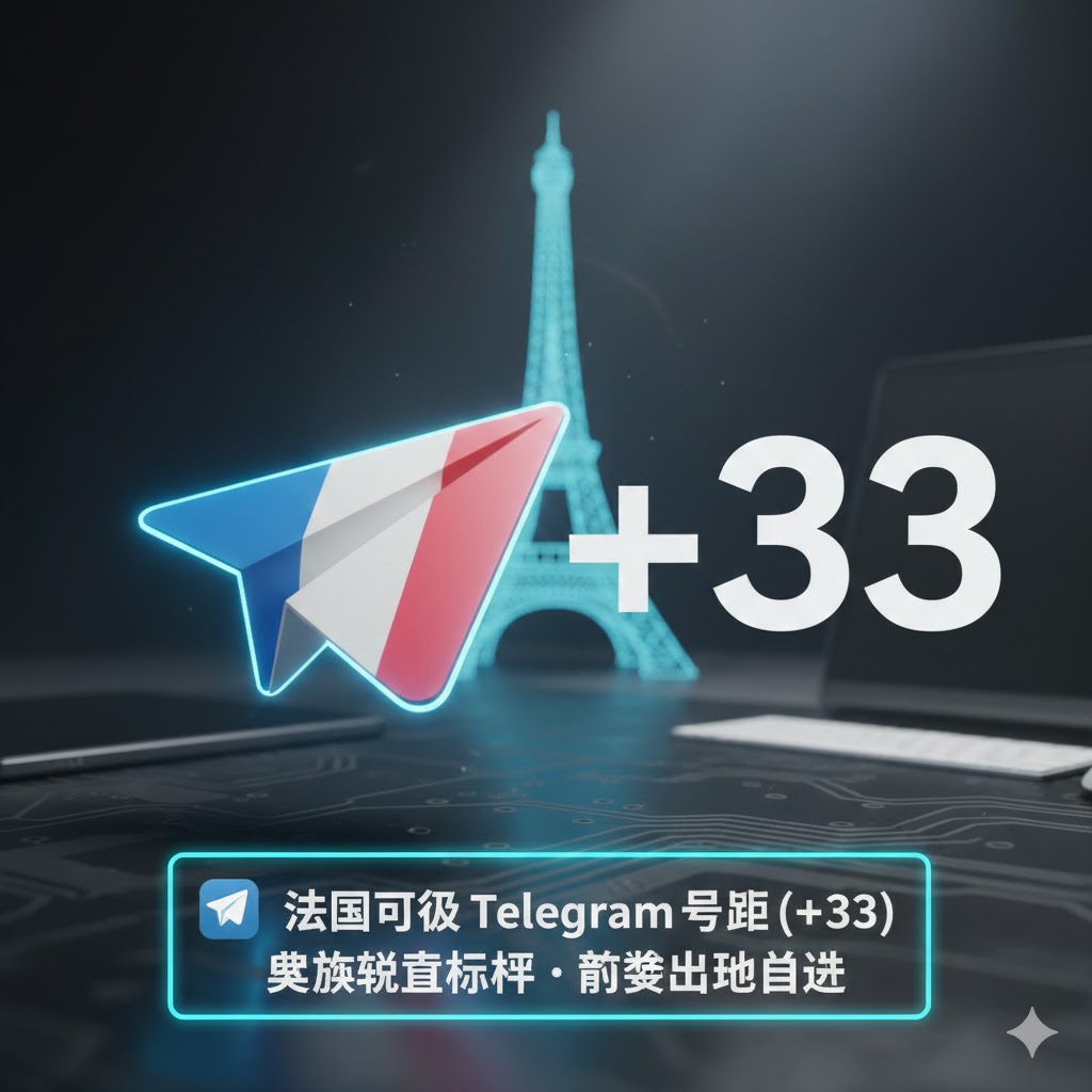 法国精养飞机号